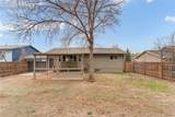 1334 Commanchero Drive - Photo 37