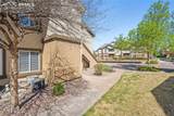 3780 Riviera Grove - Photo 2