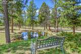 17350 Goshawk Road - Photo 40