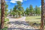 17350 Goshawk Road - Photo 46