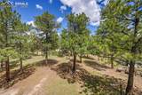 17350 Goshawk Road - Photo 48