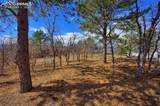 15130 Thornbird Court - Photo 45