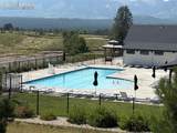 11590 Spectacular Bid Circle - Photo 38