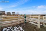 5105 Beartrack Point - Photo 42