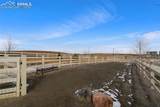 5105 Beartrack Point - Photo 43