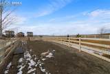 5105 Beartrack Point - Photo 44