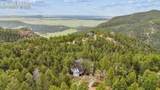 13910 Blue Jay Lane - Photo 42