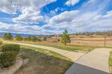11633 Black Maple Lane - Photo 35