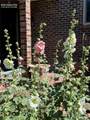 52 Villa Drive - Photo 2