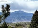 3636 Iguana Drive - Photo 5