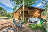 10665 Highway 67 - Photo 41