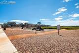 8746 Bittercress Drive - Photo 5
