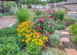 36 Mountain Spirit Point - Photo 40