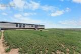 29950 Big Springs Road - Photo 40