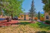 102 Holly Street - Photo 68