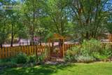 102 Holly Street - Photo 96