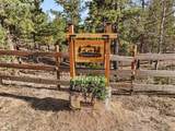 738 Rangeview Road - Photo 45