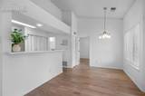 3700 Iguana Drive - Photo 19