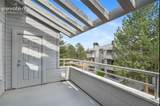 3700 Iguana Drive - Photo 46