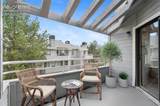 3700 Iguana Drive - Photo 47