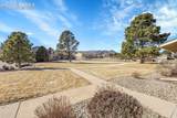 218 Rockrimmon Boulevard - Photo 59
