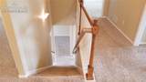 8344 Firecracker Trail - Photo 11