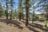 272 Spring Valley Trail - Photo 57
