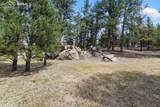272 Spring Valley Trail - Photo 63