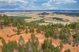 13464 Deer Ridge Way - Photo 10