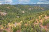 13464 Deer Ridge Way - Photo 12
