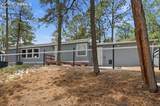 18440 Black Squirrel Road - Photo 42