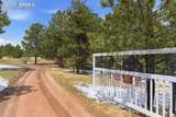 18440 Black Squirrel Road - Photo 46