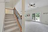 47 Walnut Avenue - Photo 38