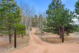 1366 Vagabond Creek Drive - Photo 34