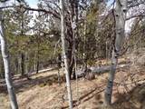 877 Princess Road - Photo 13