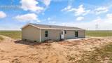 35610 Vorenberg Road - Photo 41