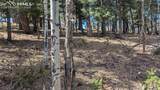 924 Will Scarlet Drive - Photo 1