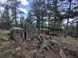 1176 Trail Creek Road - Photo 11