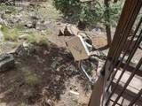 1176 Trail Creek Road - Photo 26