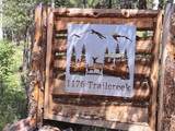 1176 Trail Creek Road - Photo 4