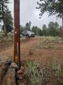 1176 Trail Creek Road - Photo 48