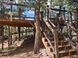 1176 Trail Creek Road - Photo 8