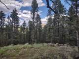 1176 Trail Creek Road - Photo 9