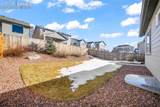 2797 Equine Court - Photo 42