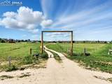380 Longhorn Cattle Drive - Photo 33