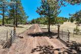 1726 County Road 104 - Photo 48