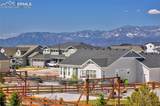 9956 Bison Valley Trail - Photo 49