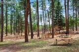 8912 Pine Drive - Photo 45