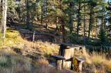 516 Saguache Drive - Photo 33