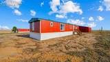 37155 Jones Road - Photo 12